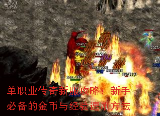 ְҵ·ԣֱرĽ뾭ˢ