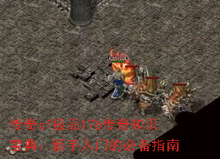 sfƷ176֪ʶ䣺ŵıرָ