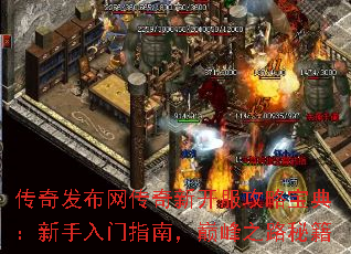 淢¿Ա䣺ָϣ۷֮·ؼ