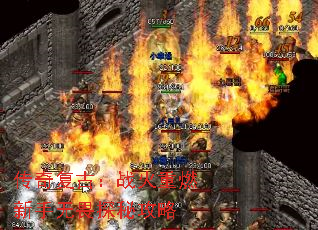渴ţսȼη̽ع