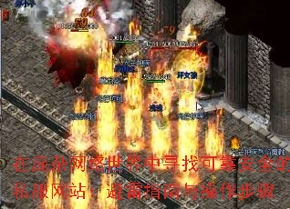 Ѱҿɿȫ˽վָ
