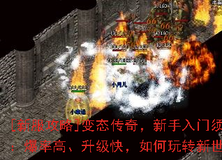 [·]̬棬֪ʸߡ죬ת磿