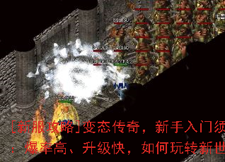 [·]̬棬֪ʸߡ죬ת磿