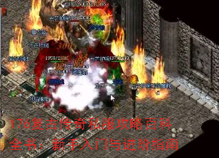 176Ŵ˽԰ٿȫ飺ָ
