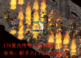 176Ŵ˽԰ٿȫ飺ָ