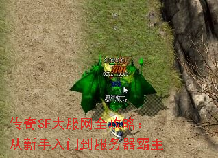 SFȫԣŵ