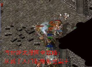 SFȫԣŵ