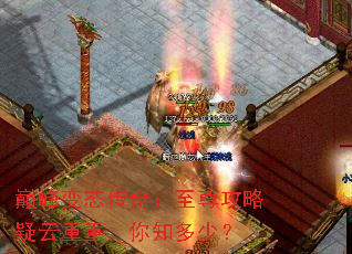 ۷̬棺أ֪٣