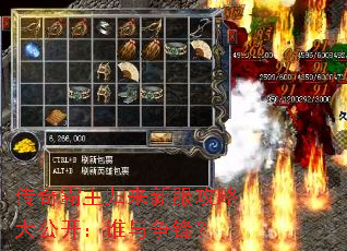 ·Դ󹫿˭棿