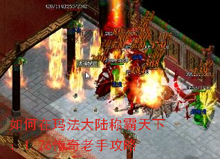 귨½ư£1.76ֹ