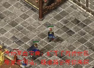 𱦵䣺¿δ˽վѽ̽