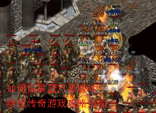 ݺ汾ռϷָ