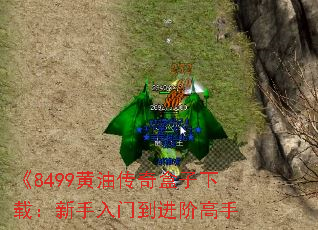 8499ʹأŵ׸