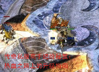 ˽ֽţѪ֮·ϵָ