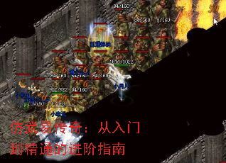 ״棺ŵͨĽָ