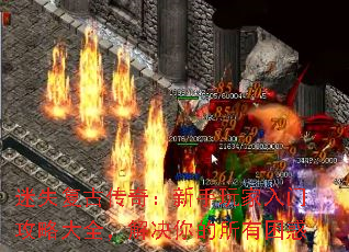 ʧŴ棺ŹԴȫ