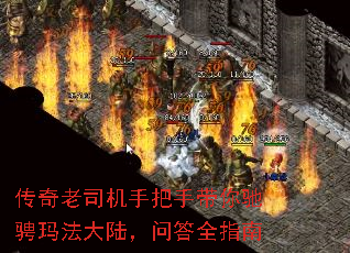˾ְִ۳귨½ʴȫָ