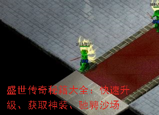 ʢؼȫȡװ۳ɳ