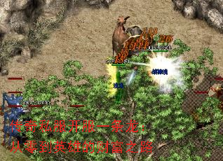 ˽һ㵽Ӣ۵ĲƸ֮·