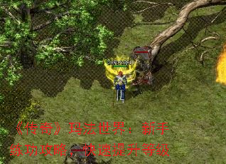 桷귨磺ԣȼ