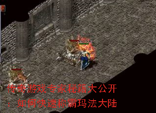 传奇游戏专家秘籍大公开:如何快速称霸玛法大陆 传奇游戏专家秘籍大公开:如何快速称霸玛法大陆