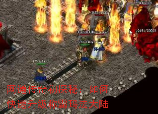 ͨ̽أοư귨½