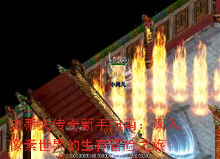 ʷٷָϣð֮
