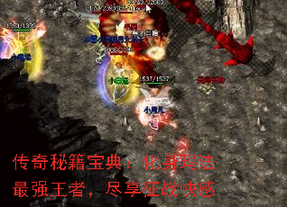 ؼ䣺귨ǿߣս