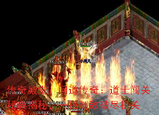 ãʵ棺ʿصأһƵƾ