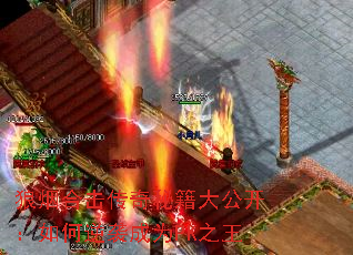 ̺ϻؼ󹫿ϮΪPK֮