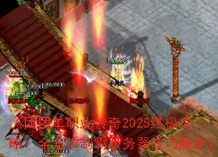 ŵְҵ2025ռԣȫλưԷɽ