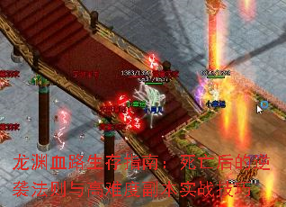 ԨѪ·ָϣϮѶȸʵս