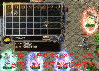 ڴ˽װҪעЩӣθЧԣ