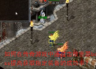 ڴϷͨboss߻ȡָװĳɹʣ