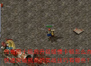 ʮô죿ͻƿʵսЩ