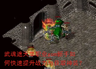 쵥ְҵgomοսȡװ