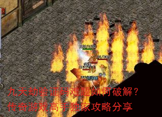 ֤ƽ⣿ϷֶҹԷ