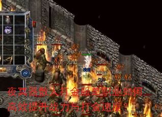 ҹڤɢ˴ְҵθЧսٶȣ