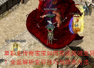 ְҵ汦ʵָЧ죿ȫ켼