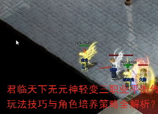 Ԫְҵƽ⴫淨ɫȫ