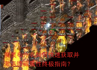 ħ鲼οٻȡռָϣ