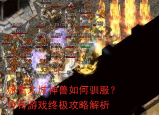 ѩ֮ѱϷռԽ