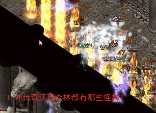 1.76ɭֶЩ