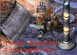 传奇私服:道士真的是PK竞技场上的隐藏大佬吗? 传奇私服:道士真的是PK竞技场上的隐藏大佬吗?