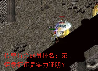 传奇行会成员排名:荣耀象征还是实力证明? 传奇行会成员排名:荣耀象征还是实力证明?