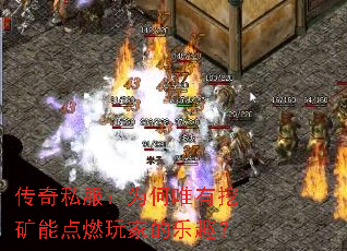 ˽ΪΨڿܵȼҵȤ