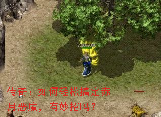 棺ɸ㶨¶ħ