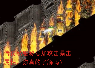 ˽ƺżӹԣ˽