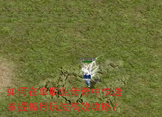 ڵְҵпպ淨Чԣ