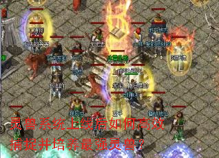 ϵͳߺθЧ׽ǿޣ